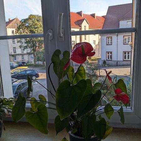 Apartament Na Klodzkiej Duszniki Zdrój Zewnętrze zdjęcie